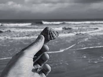 Close-up of hand holding seashell by sea against sky