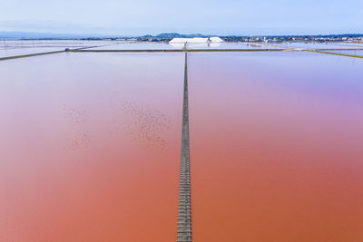Bright pink salt evaporation pond and flock of starlings in sf bay