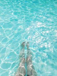 Low section of woman in swimming pool