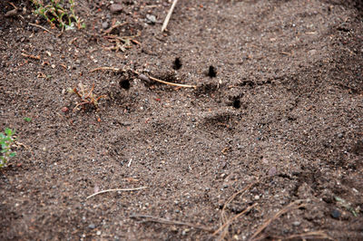 View of railroad tracks