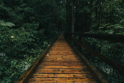 Wooden footbridge amidst trees in forest