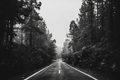 Empty road along trees in forest