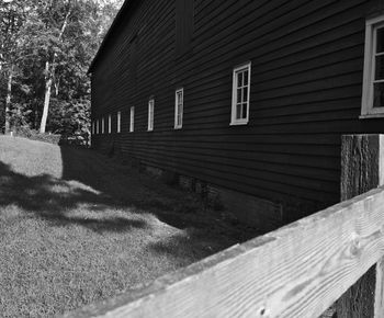 House with trees in background