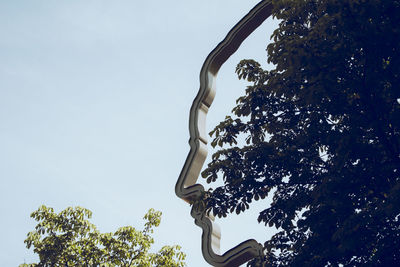 Low angle view of trees