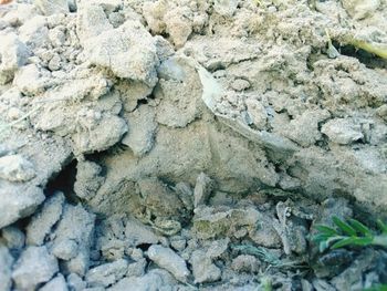 Full frame shot of a rock