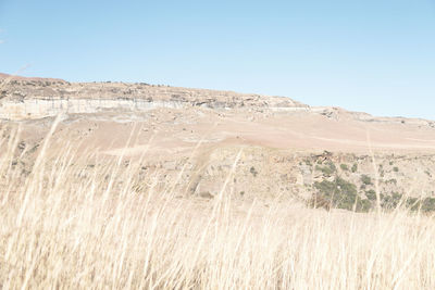 Scenic view of arid landscape against clear sky