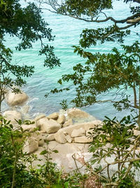 High angle view of a lake