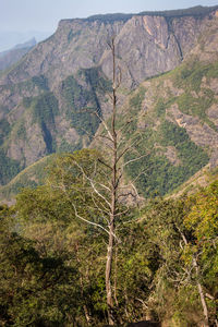 Scenic view of mountains