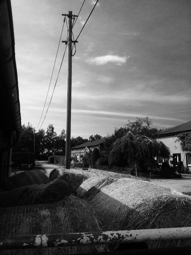 sky, tree, no people, outdoors, cloud - sky, day, nature, architecture