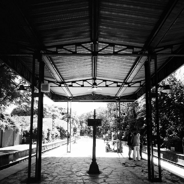 built structure, architecture, ceiling, tree, indoors, the way forward, empty, architectural column, diminishing perspective, sunlight, shadow, day, building exterior, no people, absence, in a row, lighting equipment, column, walkway, incidental people