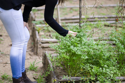 Low section of woman standing on field