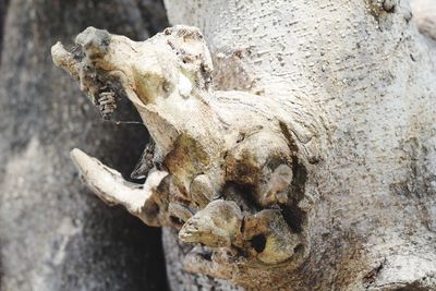 Close-up of buddha statue