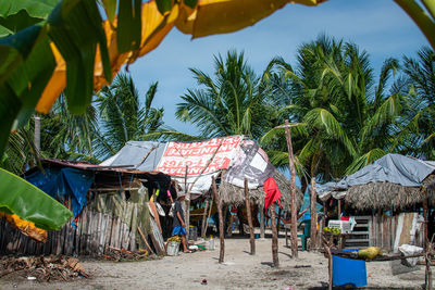 tropical climate