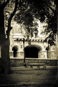 Building with trees in background