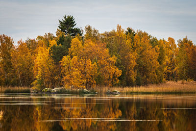Scenic view of lake in forest during autumn