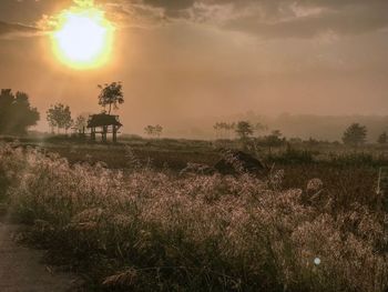 Scenic view of field against sky during sunset