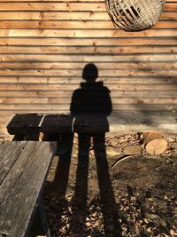 Rear view of man standing on wood