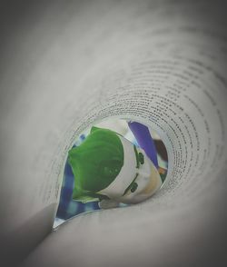 High angle view of food on paper