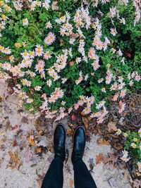 Low section of person standing by autumn leaves