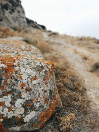 Close-up of rusty rock on landscape