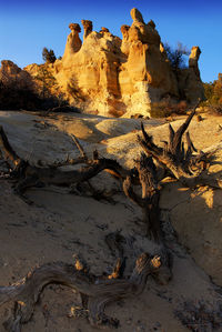 Tree trunks on sand by rocky structure against clear sky