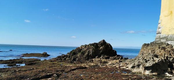 Scenic view of sea against blue sky