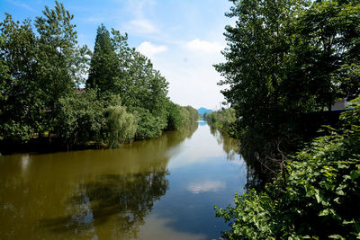 Reflection of trees in lake against sky