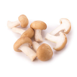 Close-up of mushrooms against white background