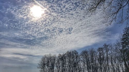 Low angle view of bare trees against sky