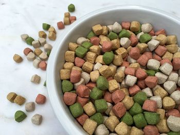 Close-up of dog food in bowl on flooring