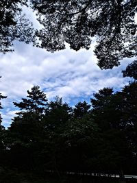 Low angle view of trees against cloudy sky