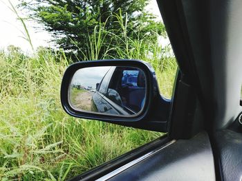 Reflection on side-view mirror of car
