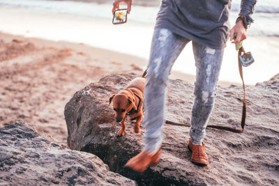 Low section of man with dog walking on sand