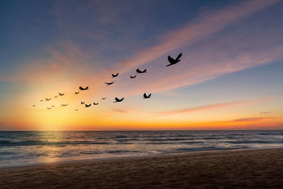 Silhouette birds flying over river against sky during sunset