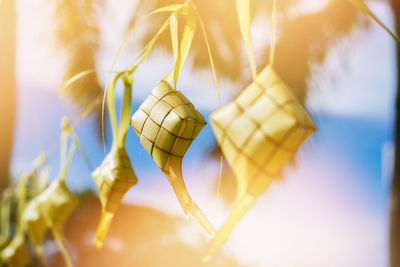 Low angle view of ketupats hanging against sky during sunny day