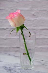 Close-up of flower in glass on table