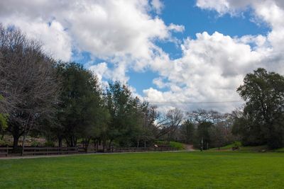 Trees on grassy field against cloudy sky