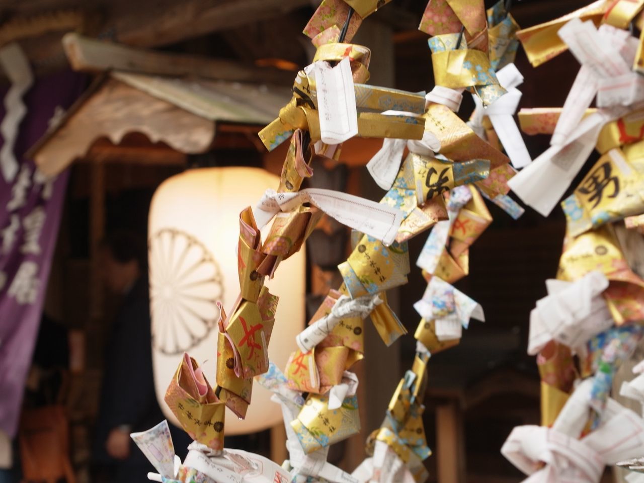 abundance, large group of objects, for sale, hanging, market, retail, market stall, variation, focus on foreground, close-up, stack, still life, indoors, wood - material, food, selective focus, choice, food and drink, display, day