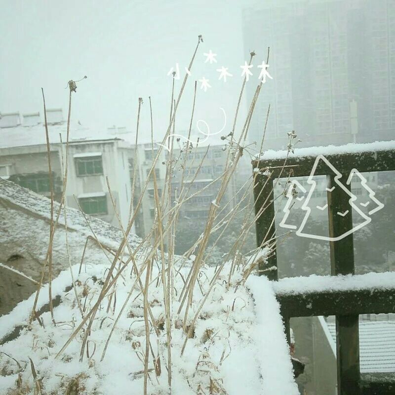 winter, snow, cold temperature, weather, season, built structure, plant, frozen, nature, architecture, building exterior, day, covering, no people, clear sky, sky, house, outdoors, field, white color