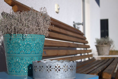 Close-up of potted plant on table