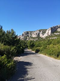 Road by trees against clear blue sky