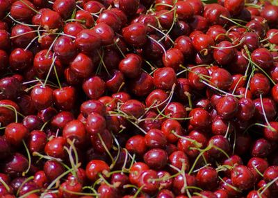 Full frame shot of wet cherries for sale at market stall