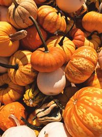 Full frame shot of pumpkins for sale