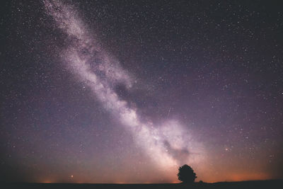 Low angle view of stars in sky at night