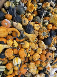 Full frame shot of pumpkins