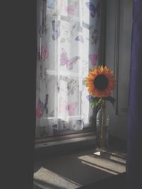 Flower vase on window sill