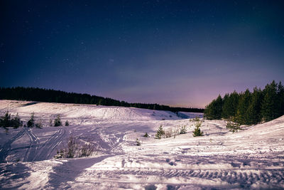 Snow covered trees against sky at night