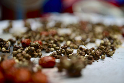 Close-up of berries on table