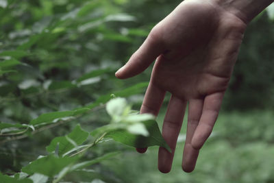 Close-up of man hand