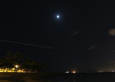 Low angle view of trees against sky at night